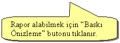 Keleri Yuvarlanm Dikdrtgen Belirtme izgisi: Rapor alabilmek iin Bask nizleme butonu tklanr.